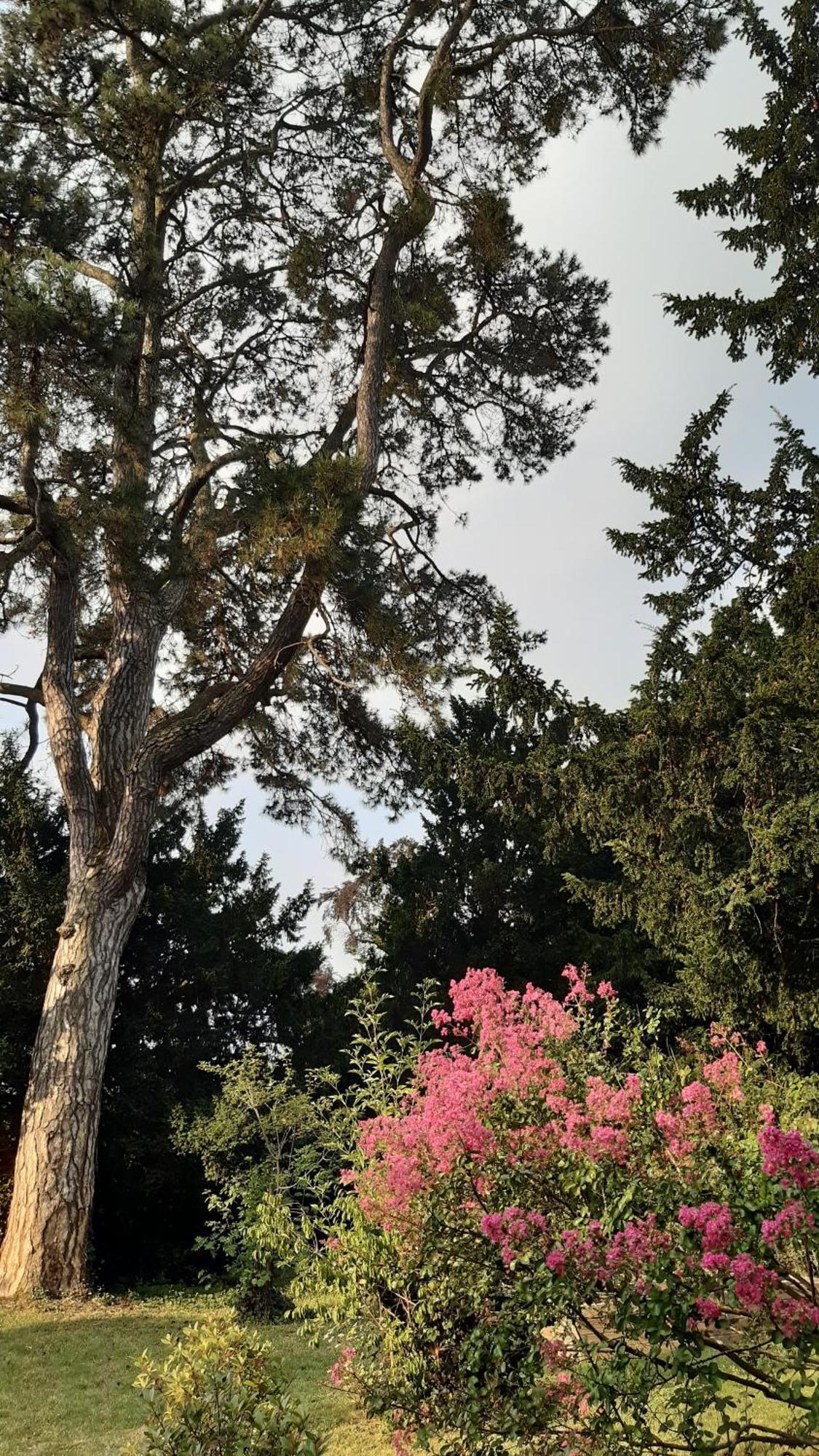 La Héraudière Tours